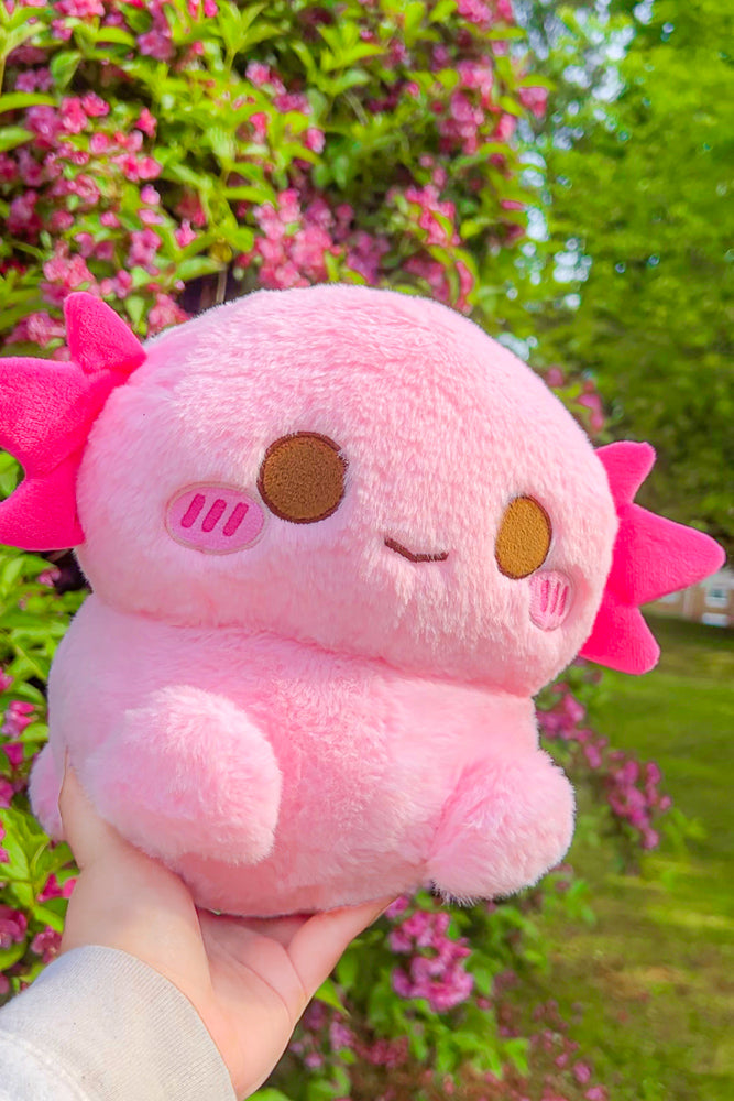 http://momokakkoii.com/cdn/shop/products/the-cutest-axolotl-xoxi-plushie-plush-toy-by-momokakkoii-adorable-kawaii-aesthetic-minecraft-1.jpg?v=1659039415