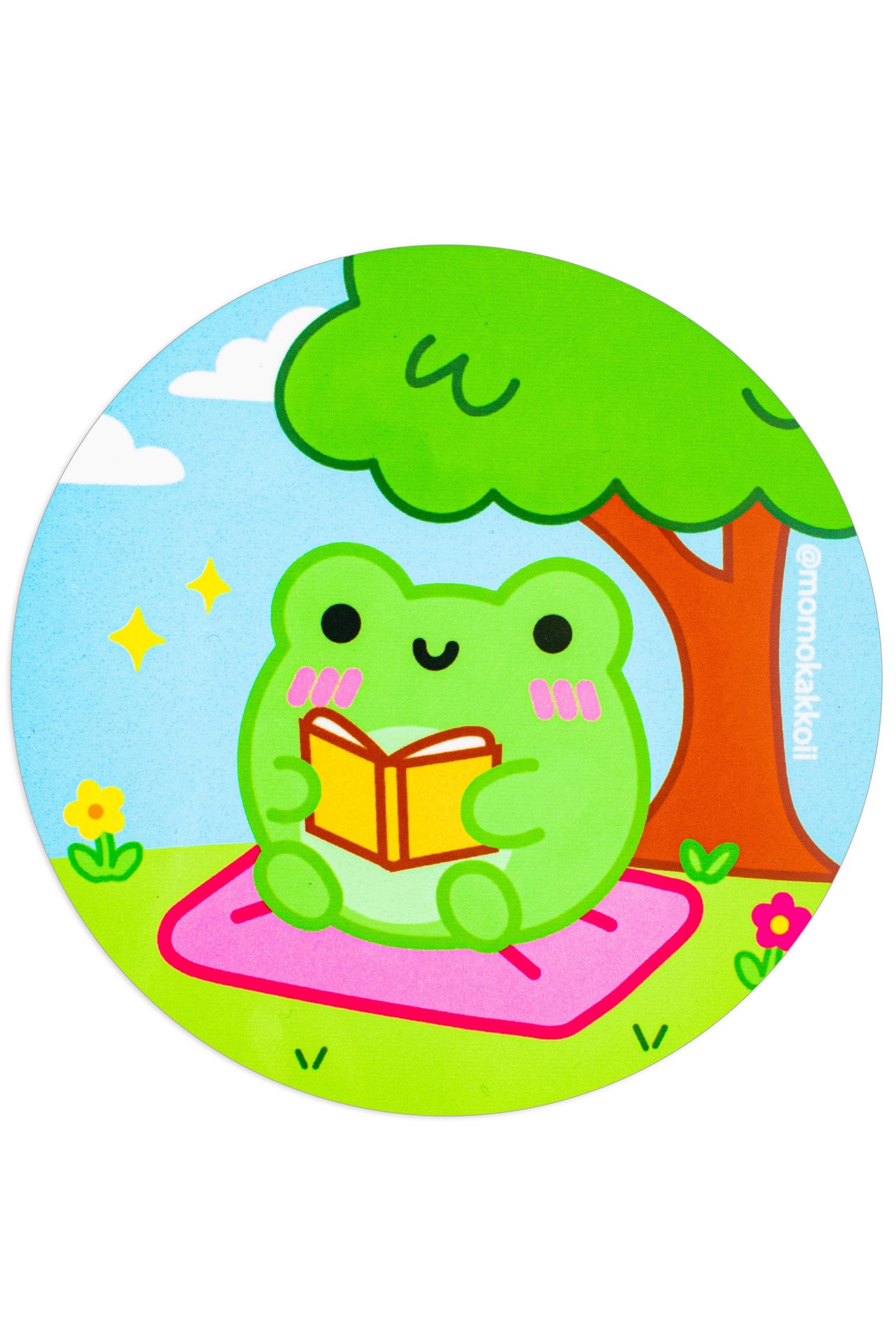 Book Albert Coaster