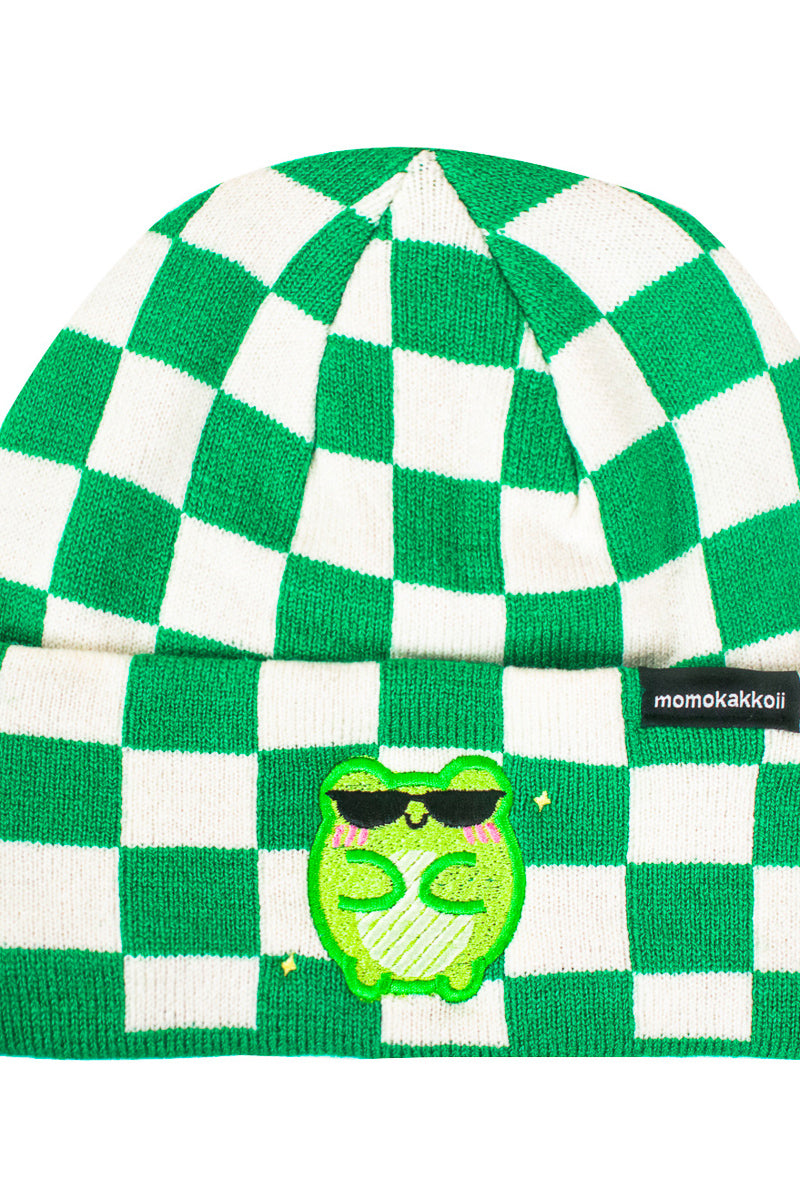 albert the frog cool beanie wearing glasses