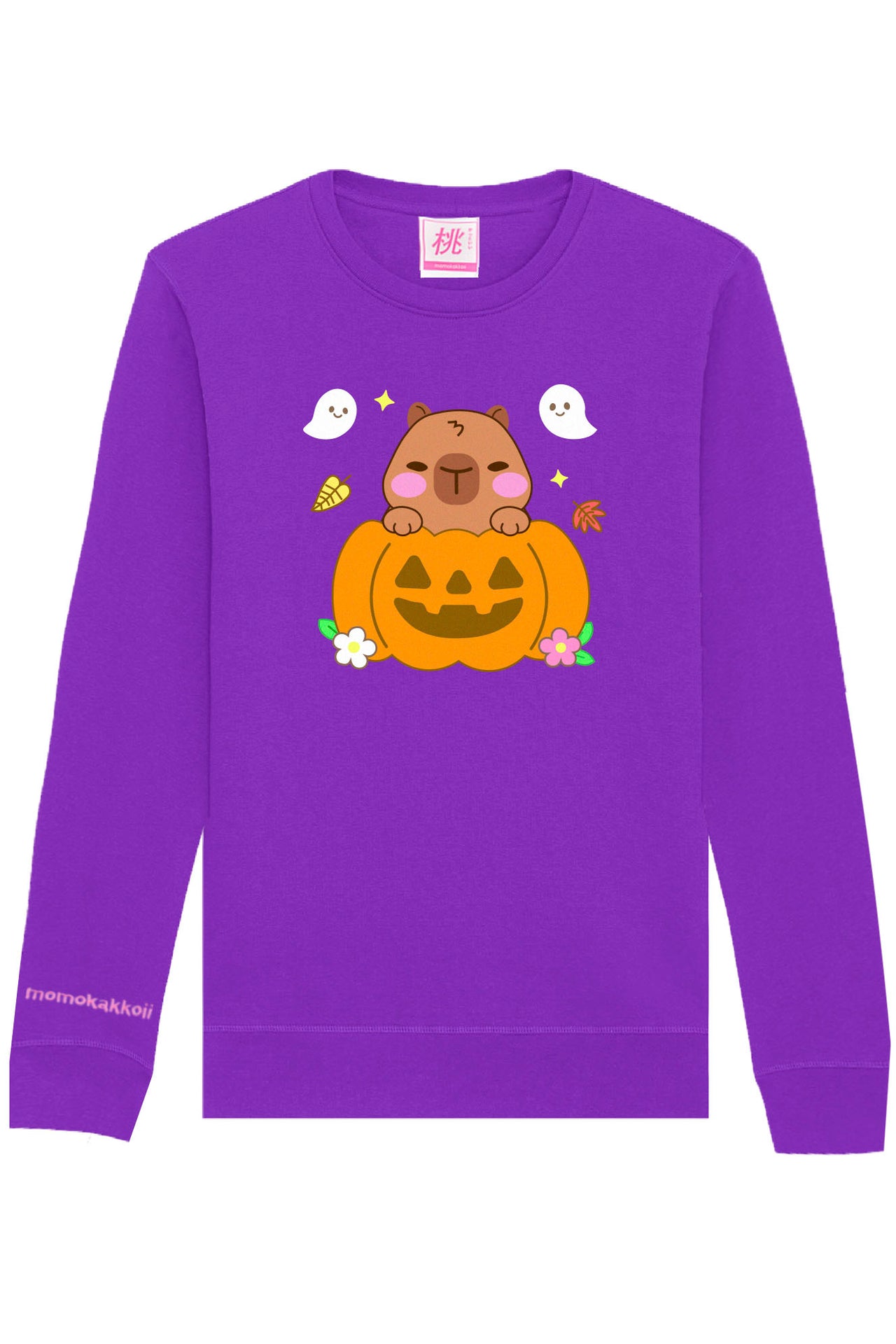Pumpkin Theo The Capybara Printed Sweatshirt