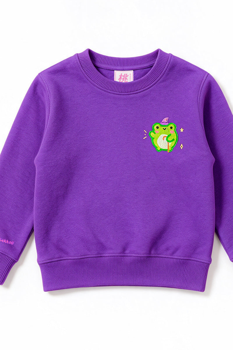 KIDS Wizard Albert Embroidered Sweatshirt