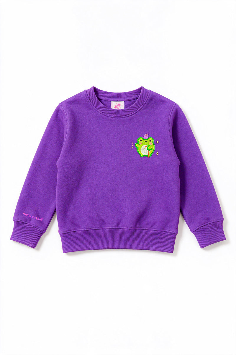 KIDS Wizard Albert Embroidered Sweatshirt