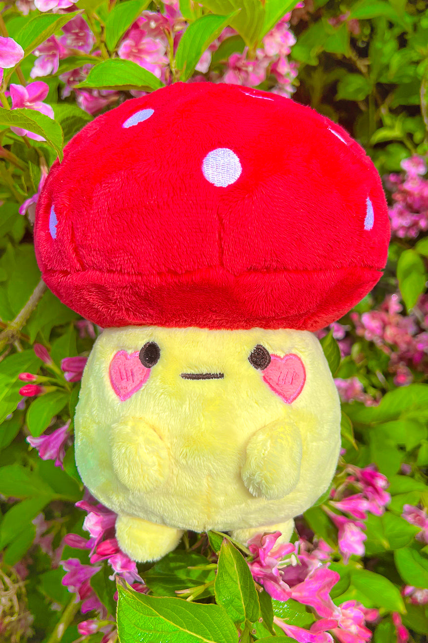 *PREORDER* Mushroom Friend Plushie - Momokakkoii