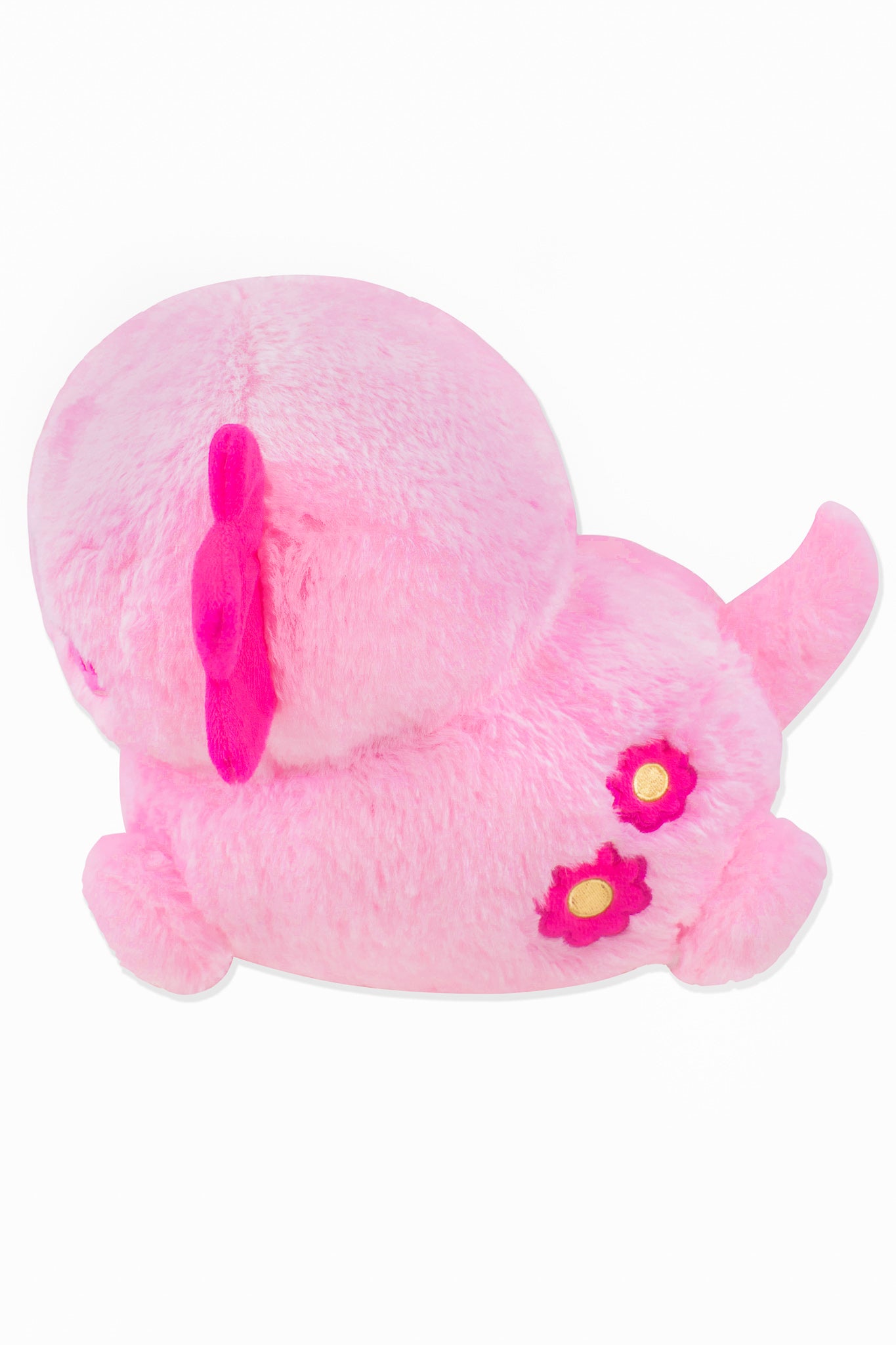 Xoxi The Axolotl 9
